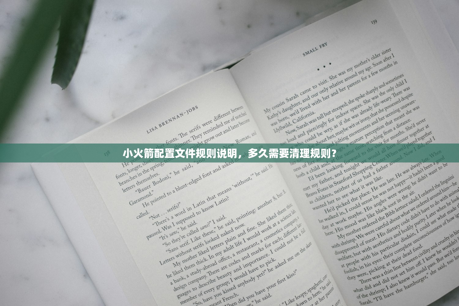 Shadowrocket小火箭配置文件规则教学，哪些错误常见且如何避免？