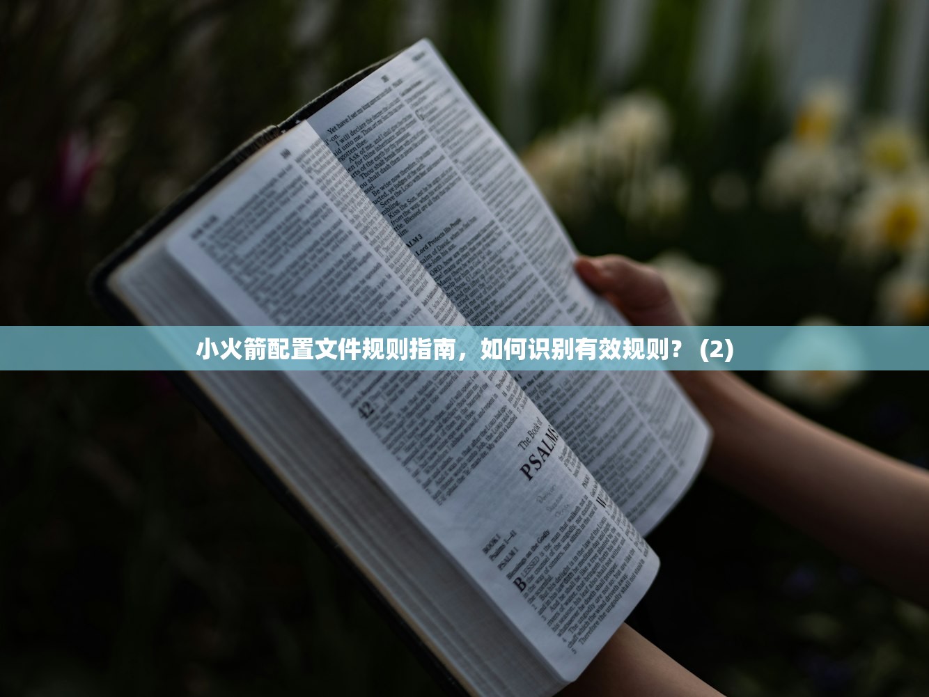 Shadowrocket小火箭为什么收费,收费时间与功能评测