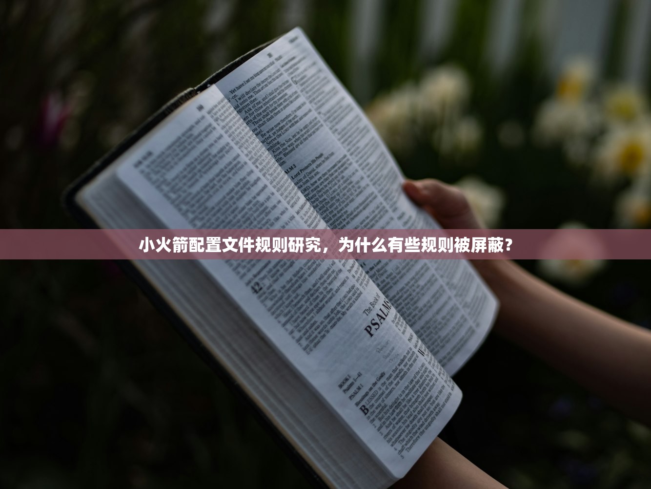 shadowrocket怎么续费,续费步骤详解和常见问题