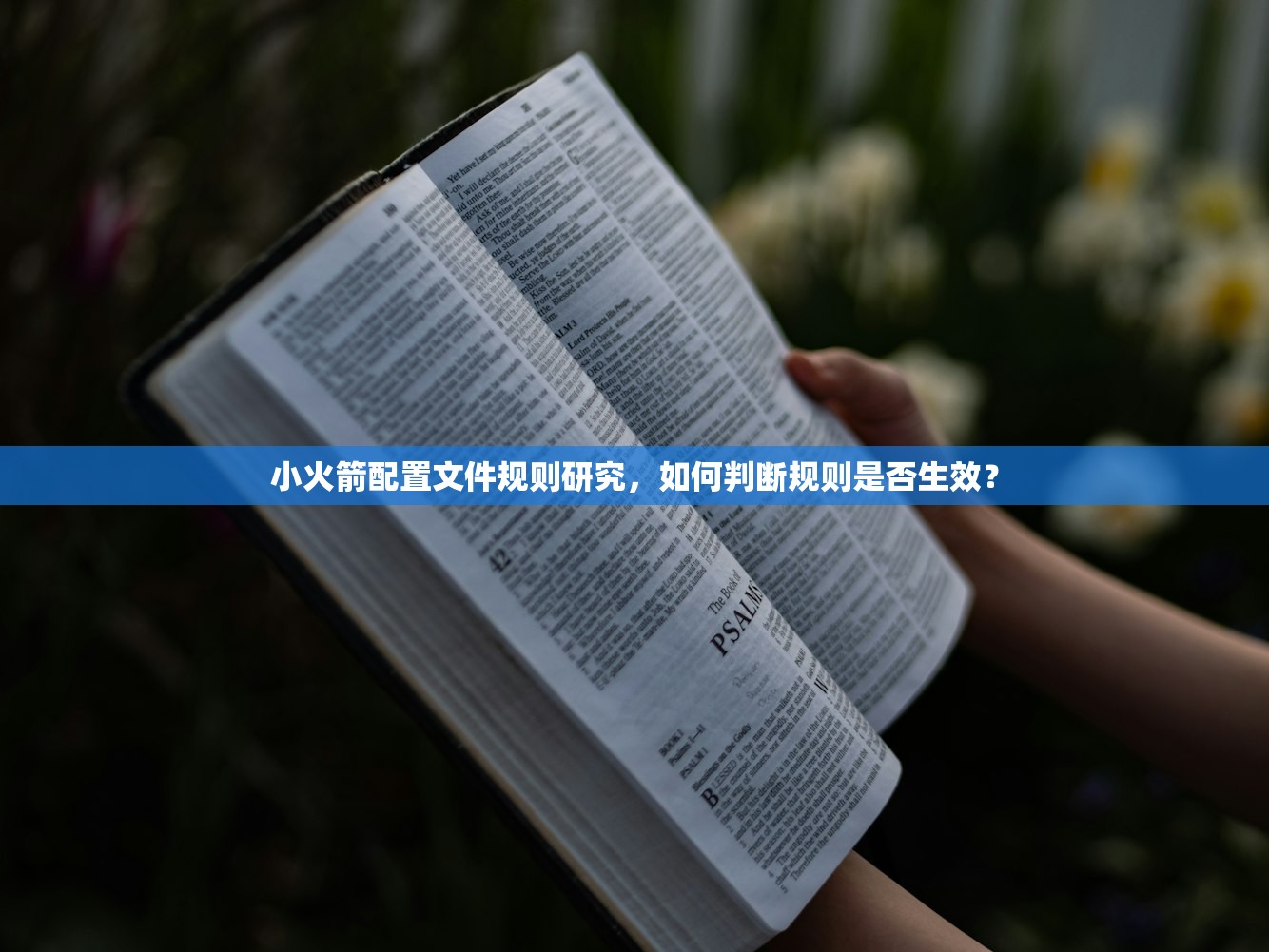 小火箭节点订阅购买流程说明，新手如何上手？ (2)