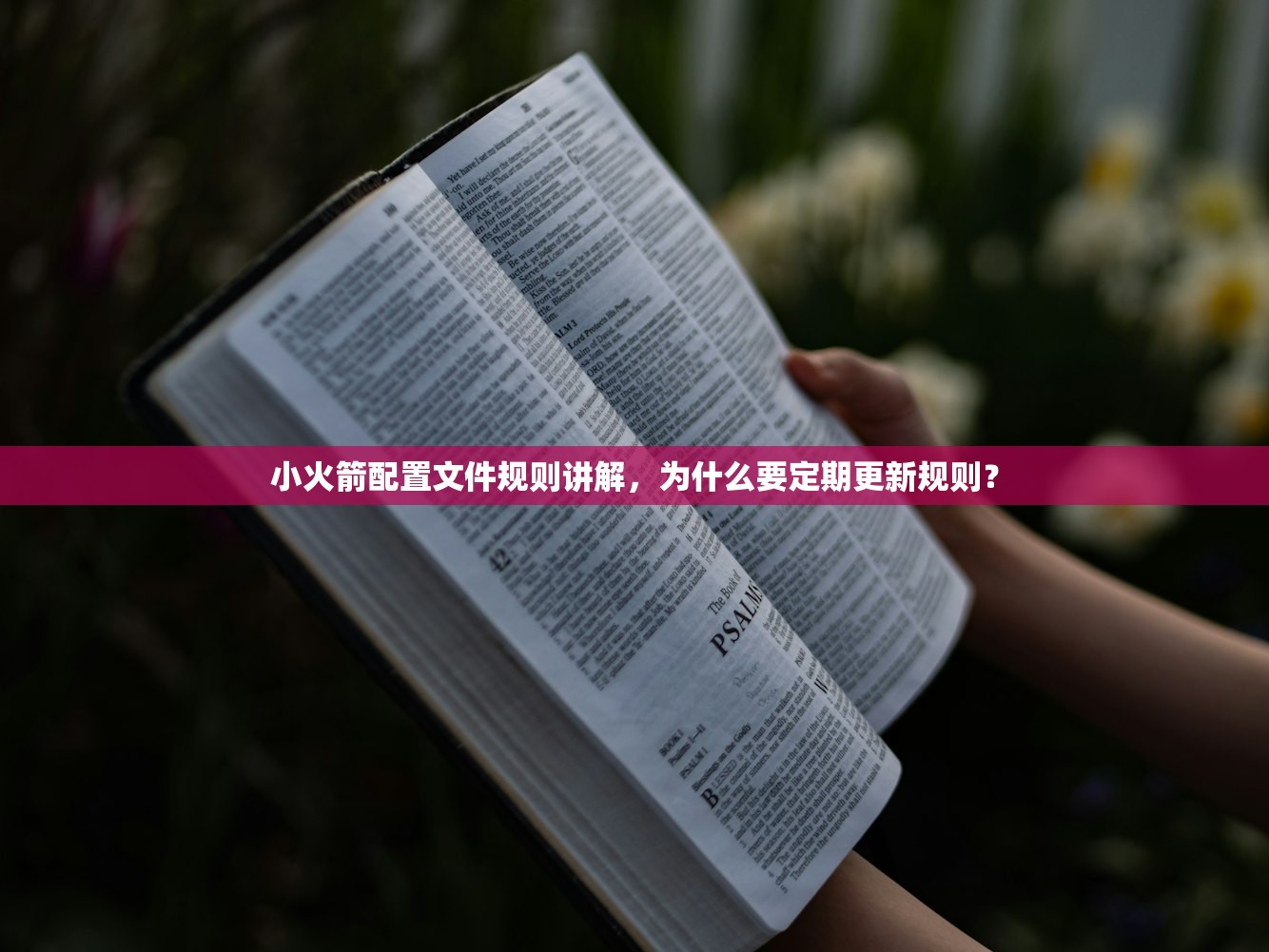 小火箭节点订阅购买推荐，哪里买更新最快？