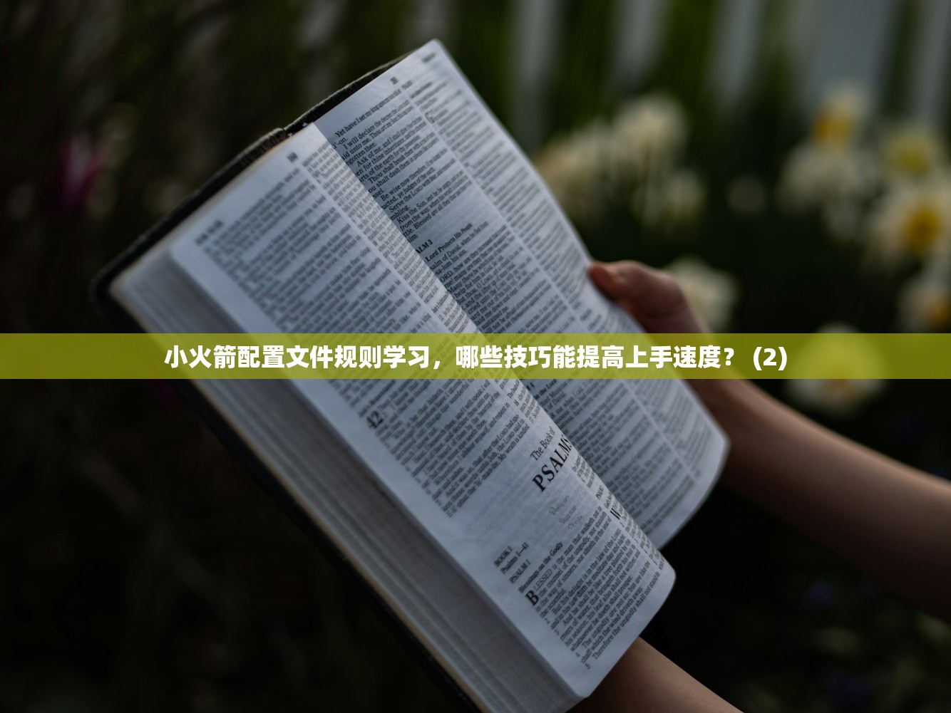 Shadowrocket配置导入解析，多少配置文件适合备用？