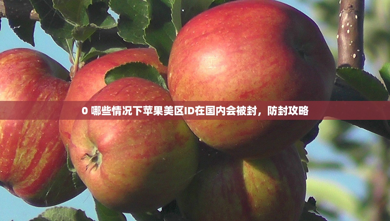 创建美区苹果ID推荐，为什么选择美国账号更划算？