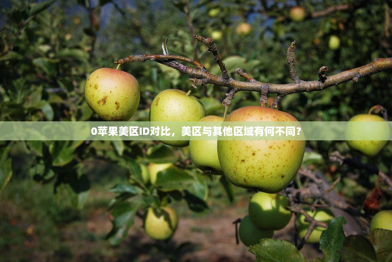 iPad如何设置美区苹果ID,在哪设置最方便快捷