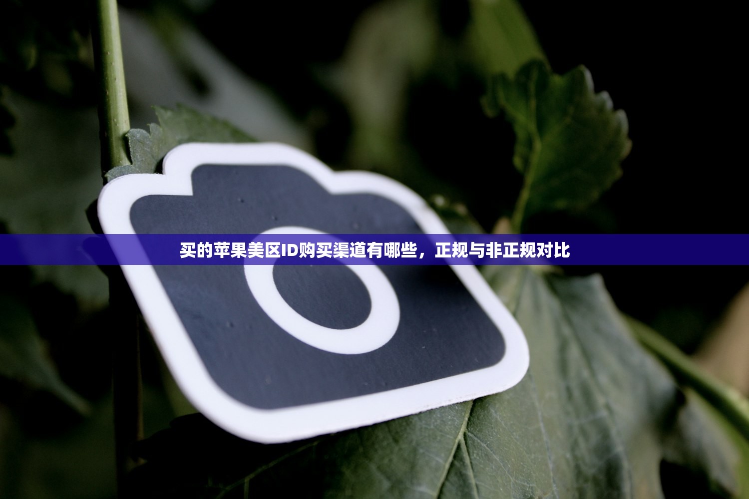 买美区苹果ID账多少钱,价格行情及优惠信息