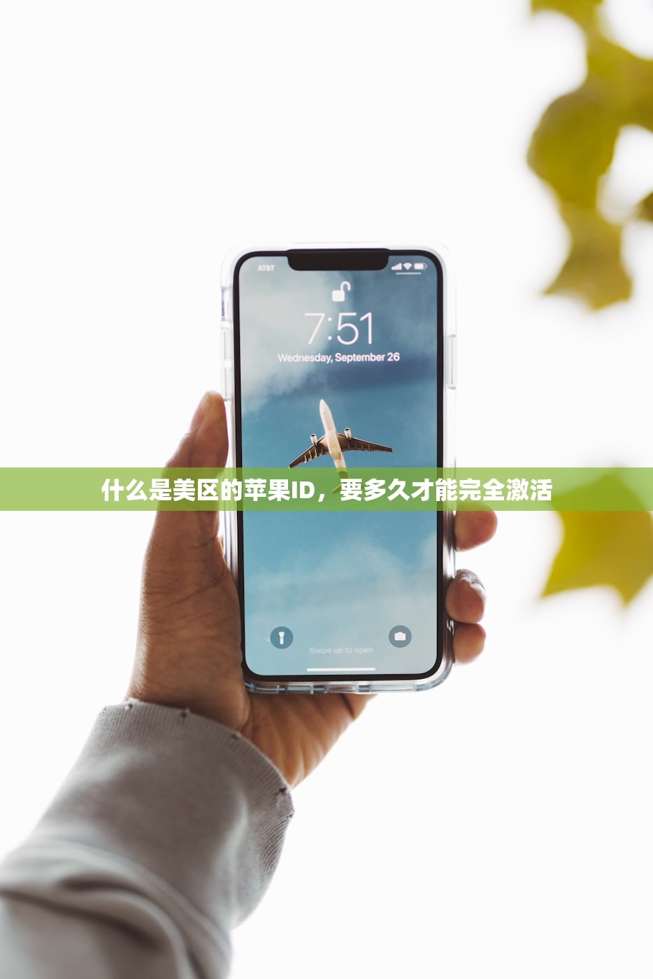 如何快速内购美区苹果ID,技巧与建议分享