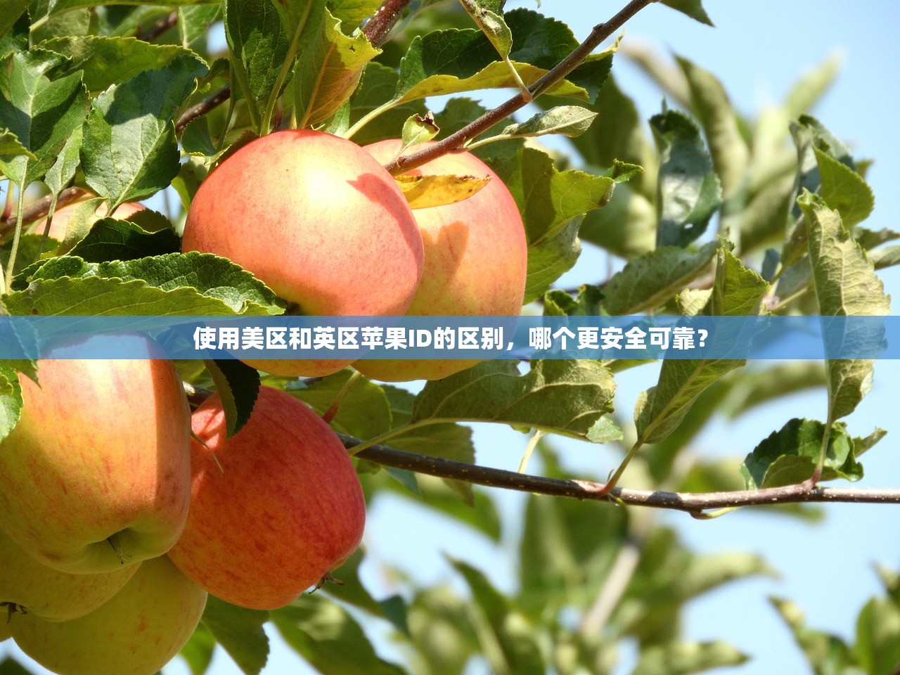 创建美区苹果ID名字要真的吗,名字用作账号识别靠谱吗?