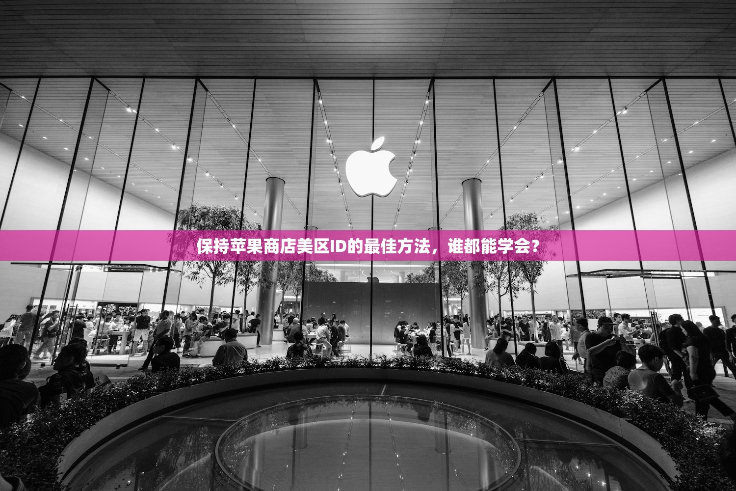 创立美区苹果ID共享,什么时候最合适?