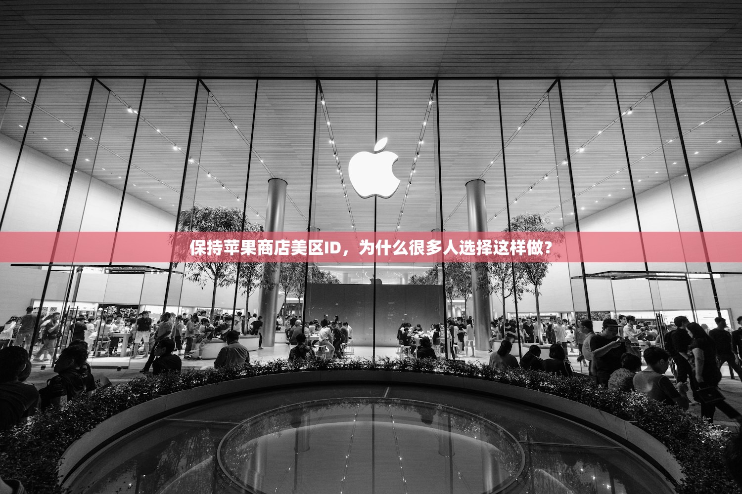 共享美区苹果ID常见问题,怎么快速解决登录难题?