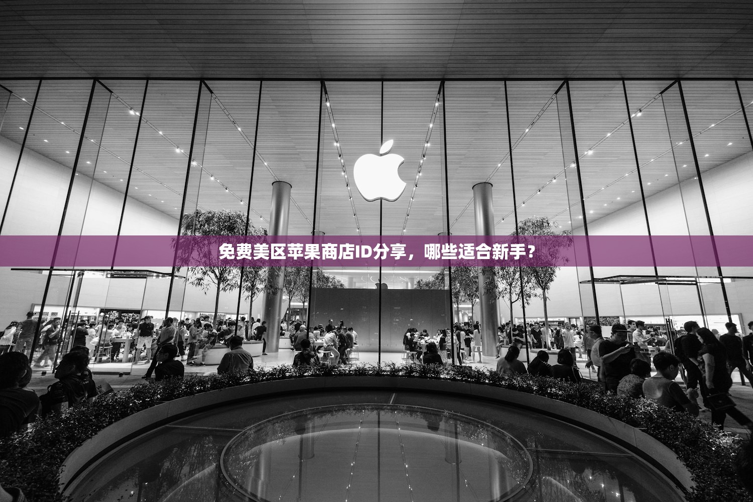创建美区苹果ID电话如何填,推荐填写策略与技巧