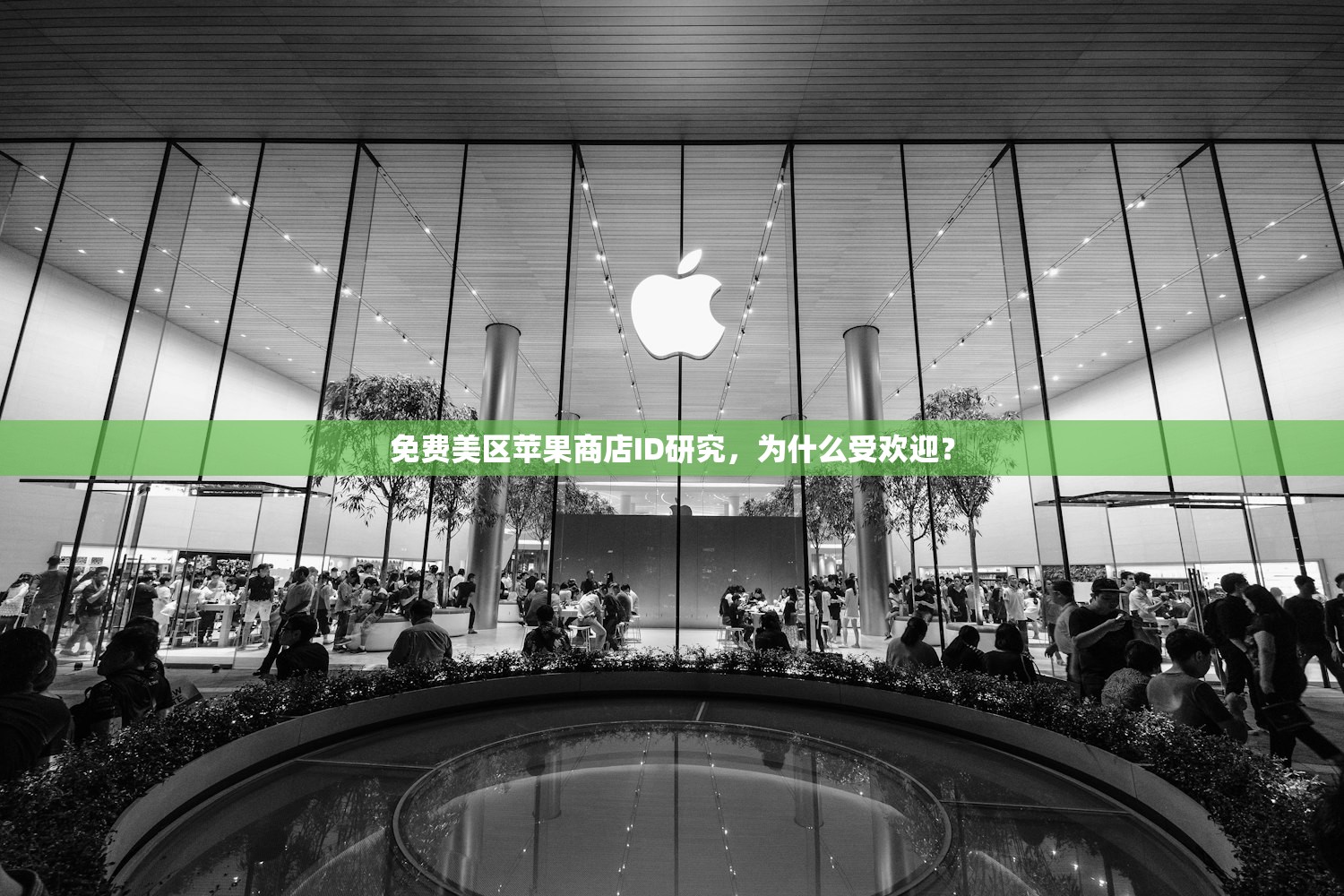 免费美区苹果商店ID研究,为什么受欢迎?