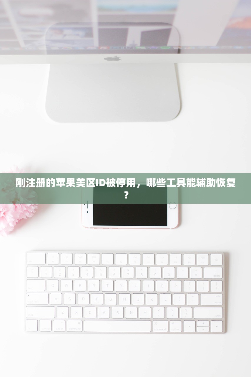 刚注册的苹果美区ID被停用，哪些工具能辅助恢复？