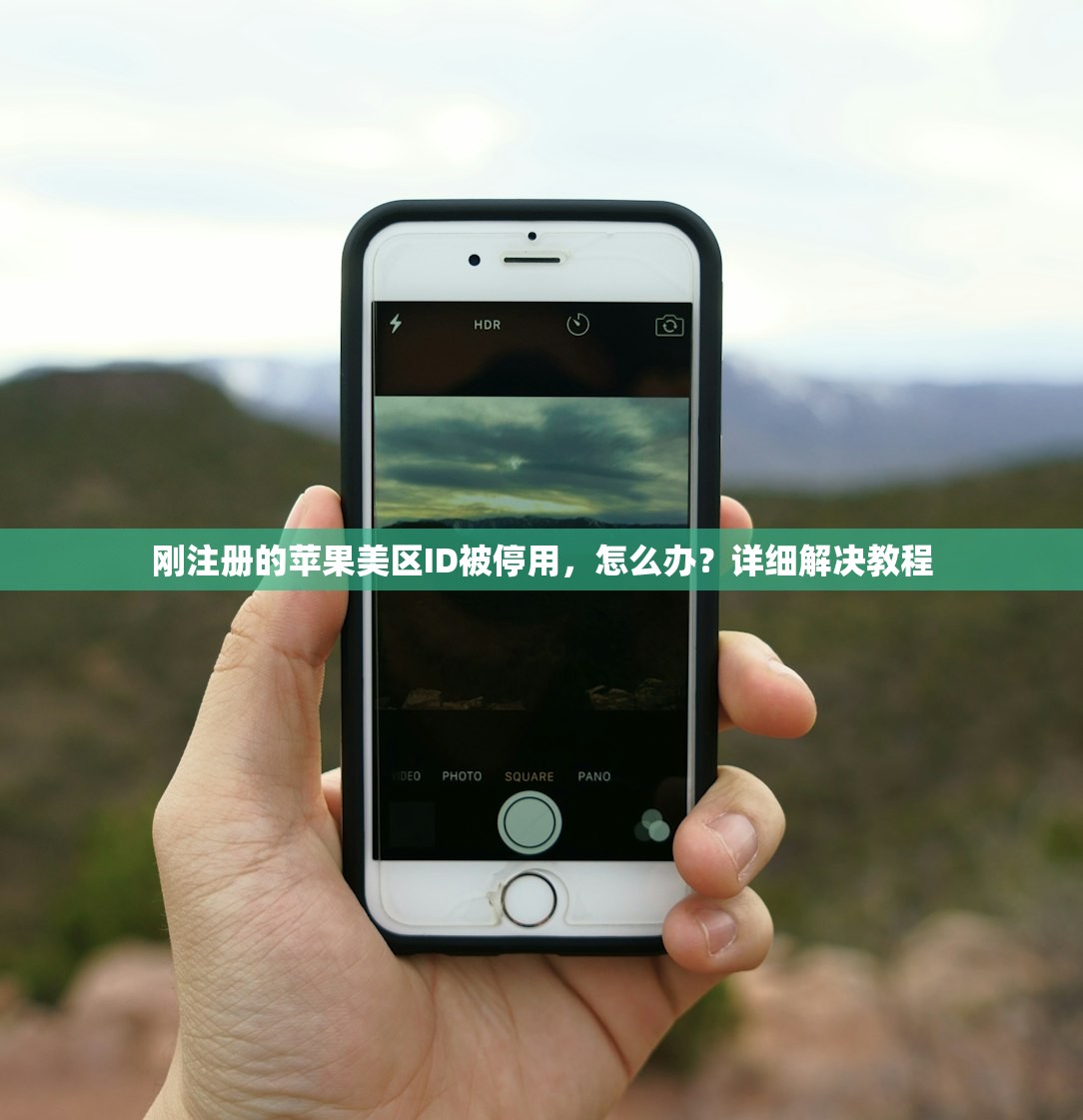 whatsapp账号购买链接，怎么验证真伪？