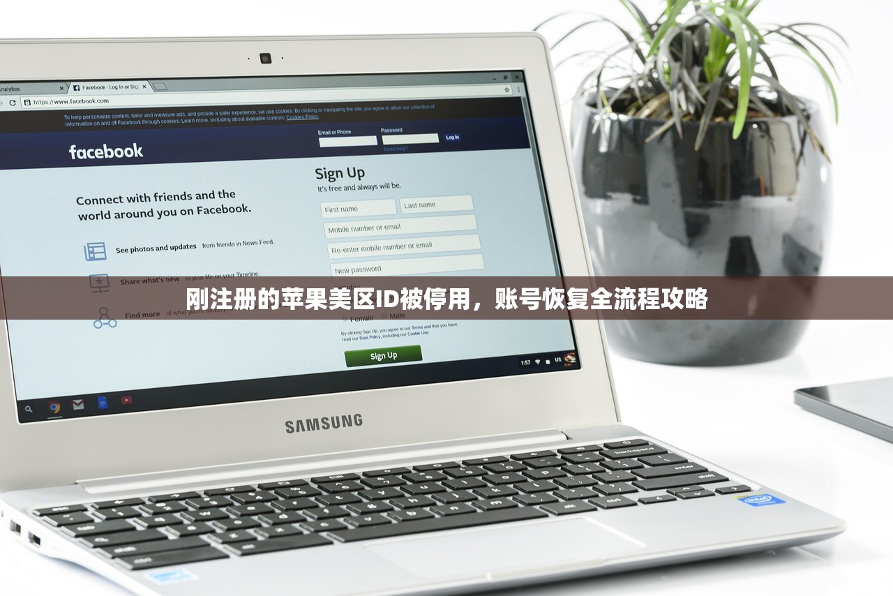 line账号购买自助平台,多久到账