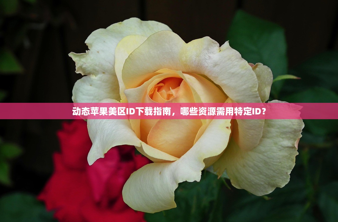哪里买美区苹果ID,激活方法及注意事项