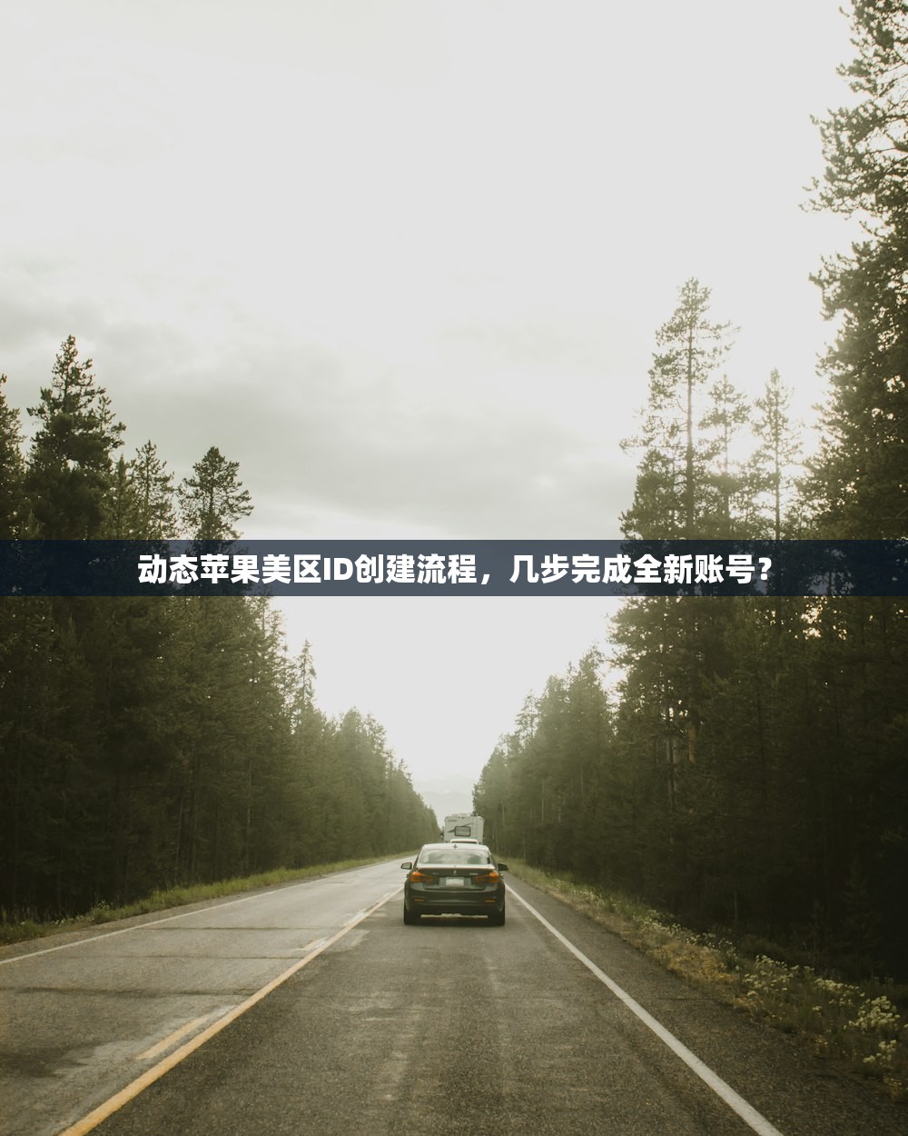 如何使用美区苹果商店Apple ID,应用下载全流程指导