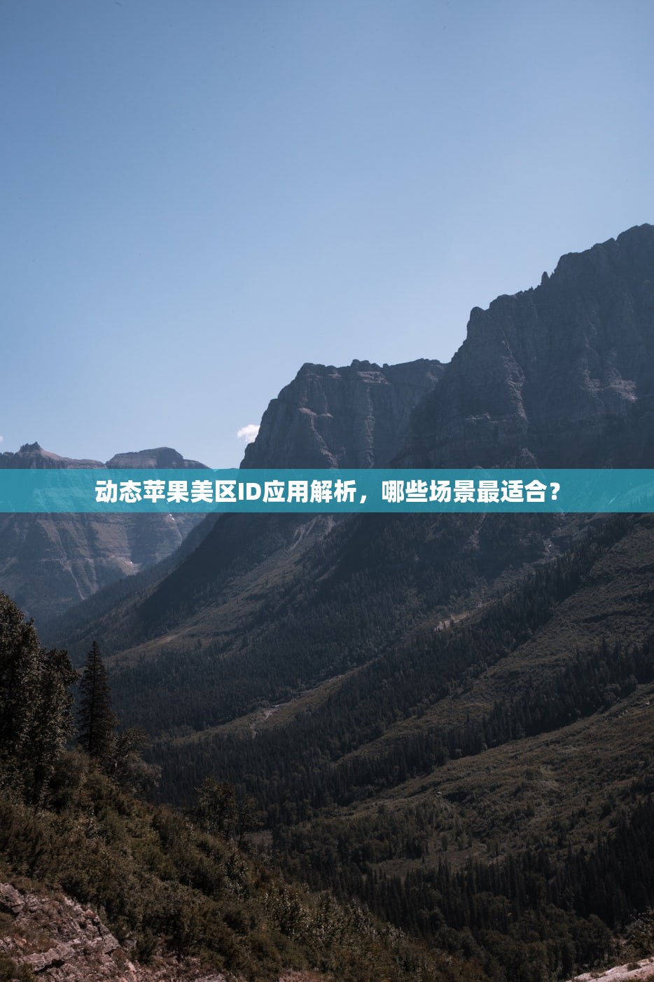 动态苹果美区ID应用解析，哪些场景最适合？