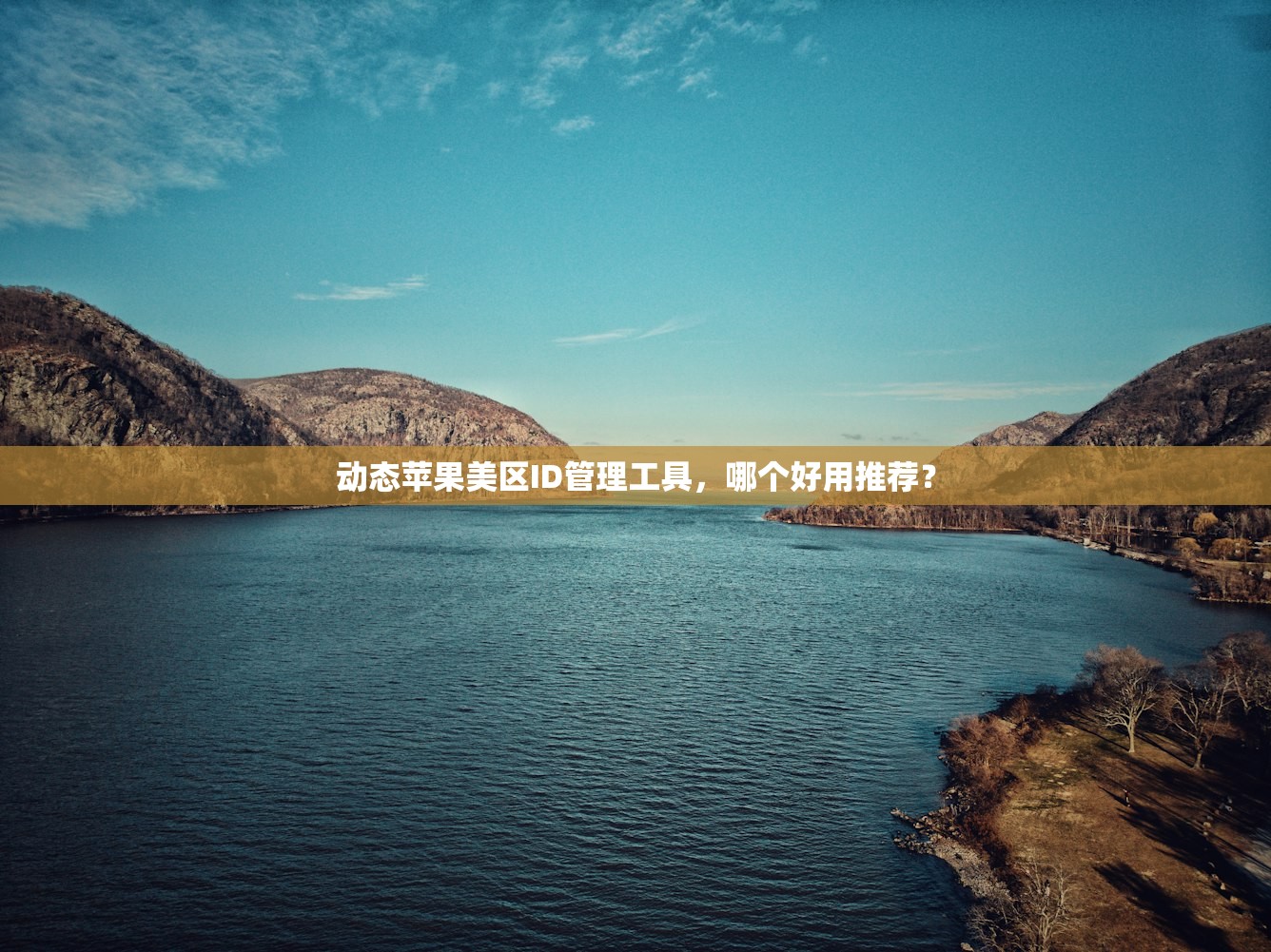 动态苹果美区ID管理工具,哪个好用推荐?