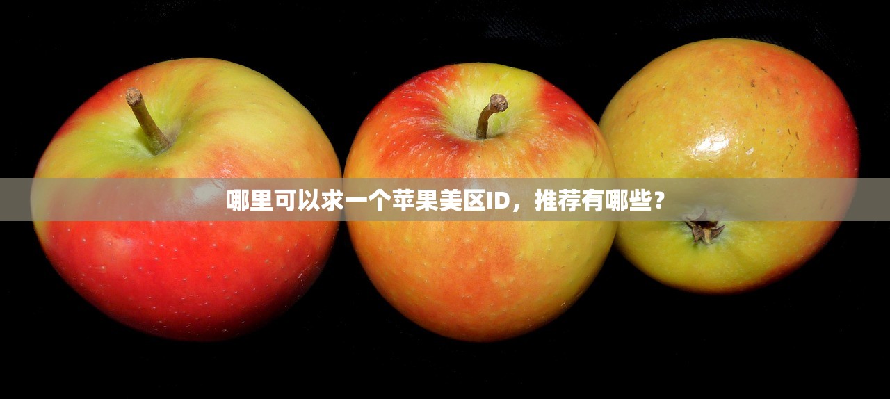 哪里可以求一个苹果美区ID,推荐有哪些?
