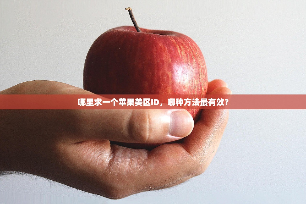 如何识别美区苹果ID,推荐实用方法
