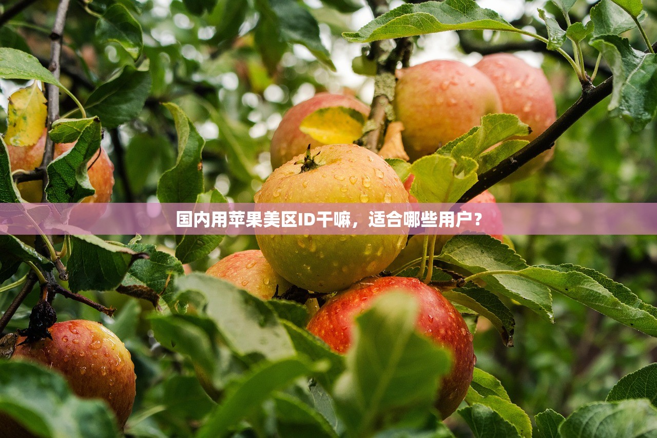 如何登录美区苹果ID,登录步骤有哪些关键点?