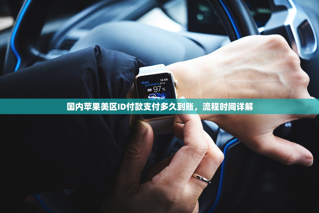 国内苹果美区ID付款支付多久到账,流程时间详解
