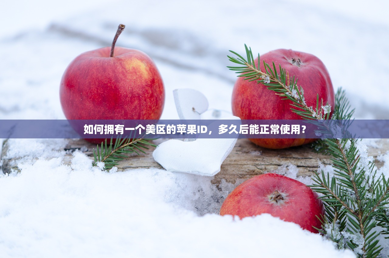 怎么注册美区苹果ID00，常见问题与解决方法