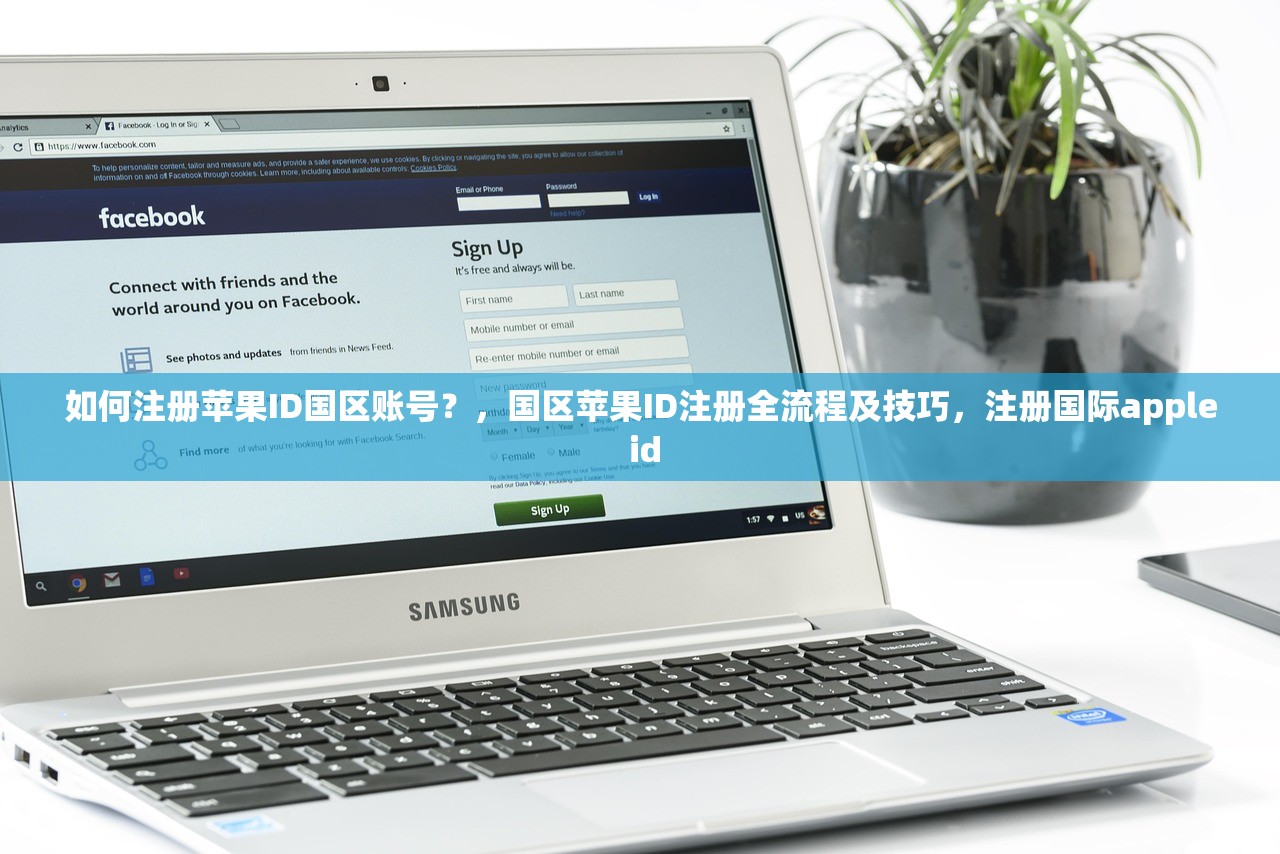 如何注册苹果ID国区账号?,国区苹果ID注册全流程及技巧,注册国际apple id