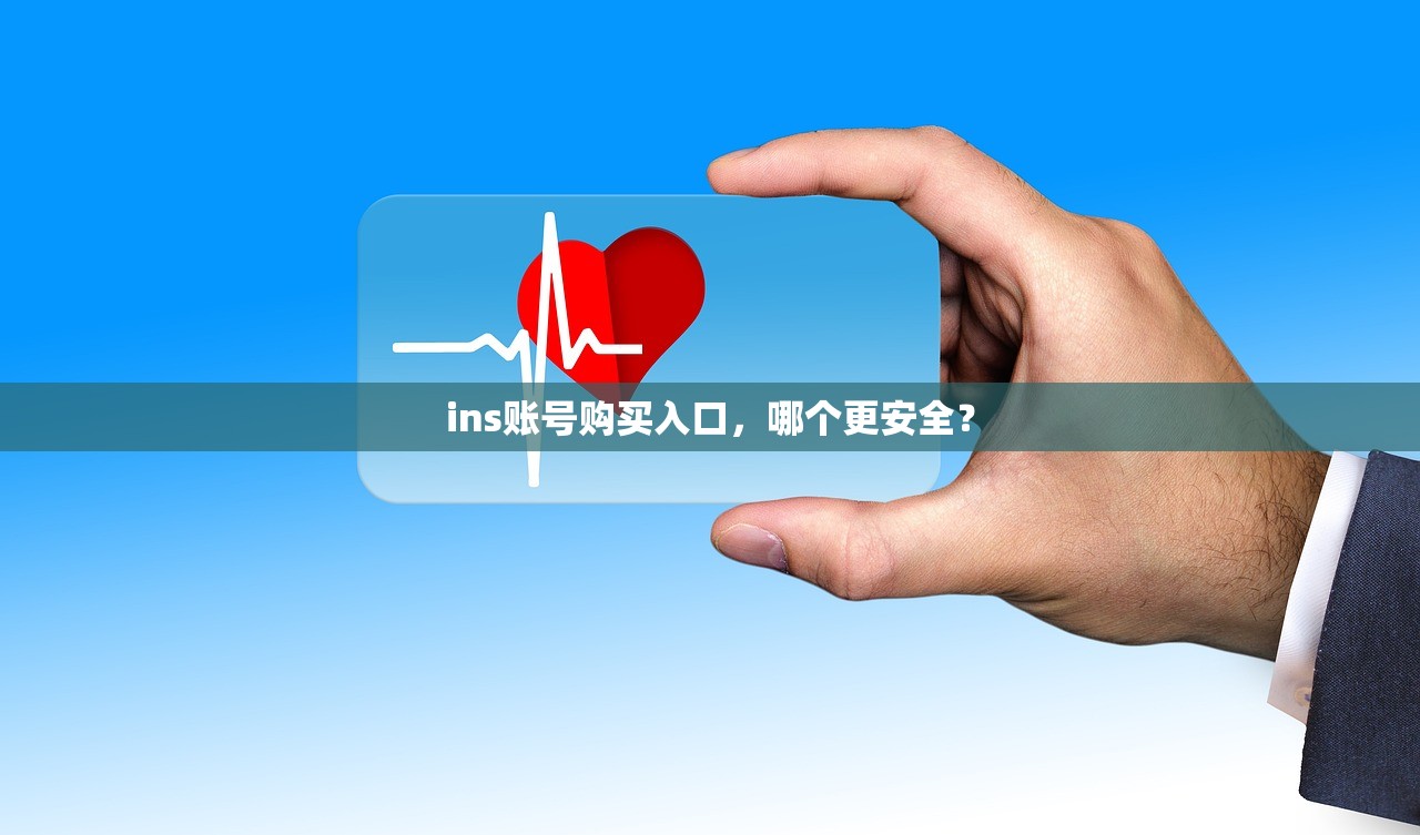 ins账号购买入口,哪个更安全?