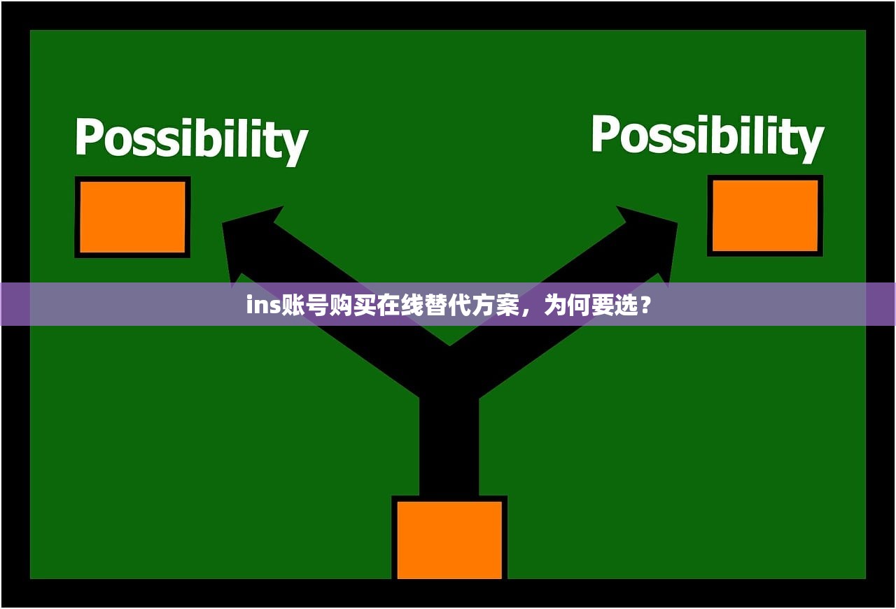 ins账号购买在线替代方案,为何要选?