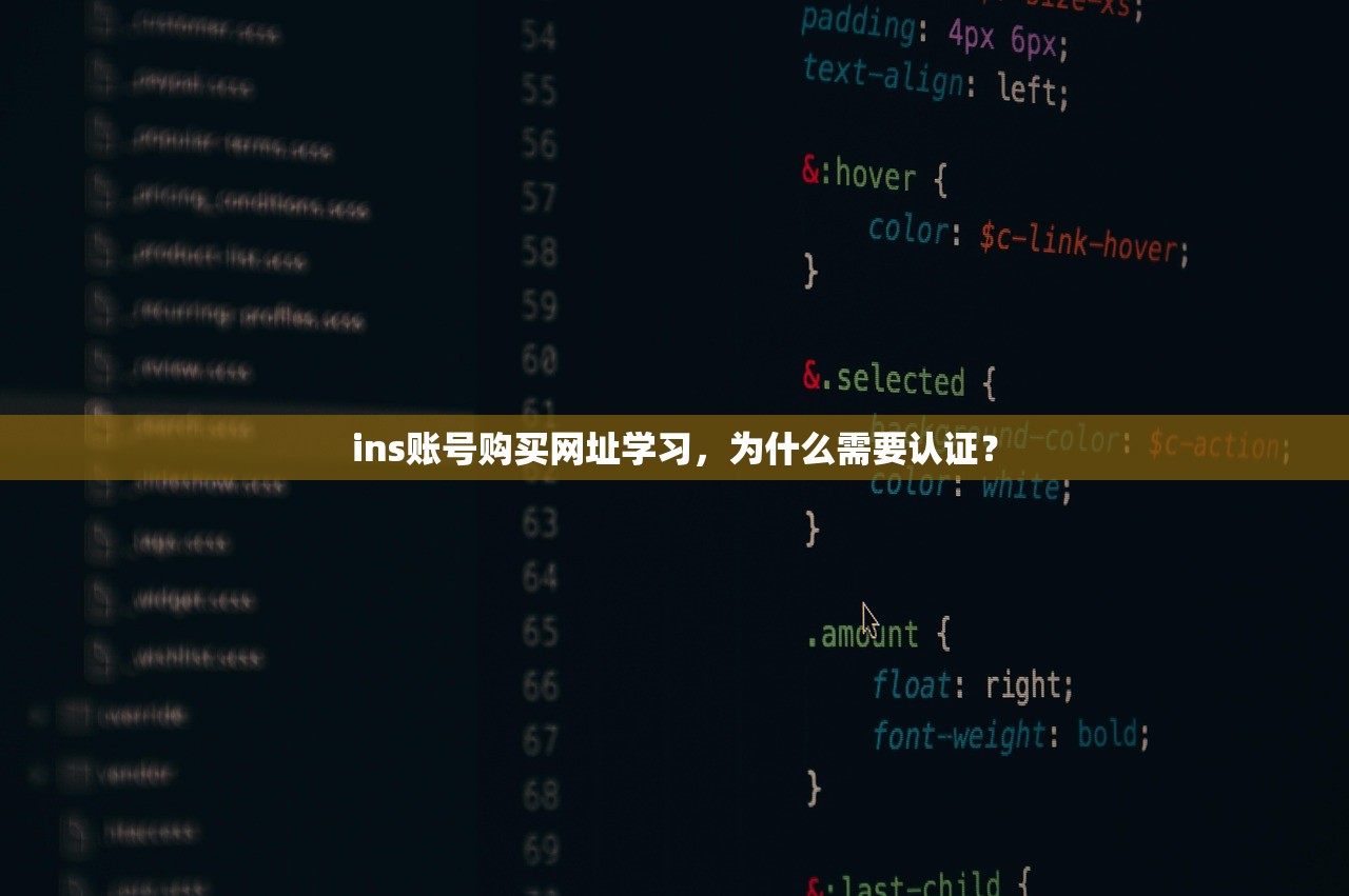 ins账号购买网址学习,为什么需要认证?