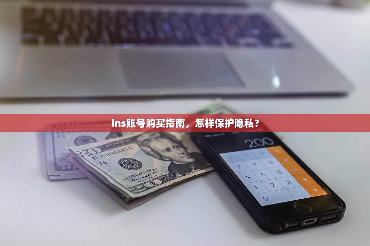 ins账号购买指南,怎样保护隐私?