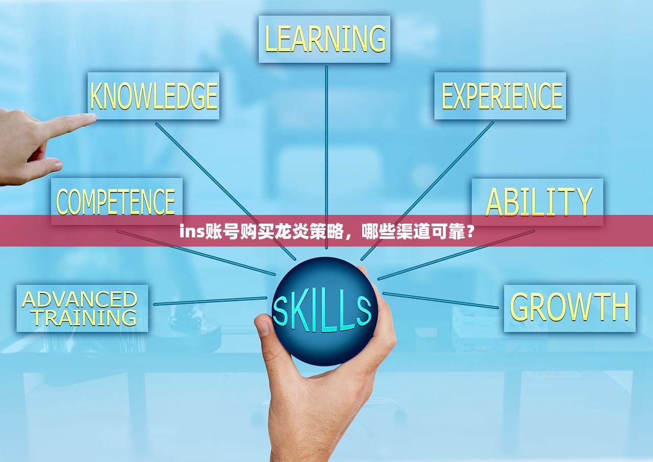 ins账号购买龙炎策略,哪些渠道可靠?