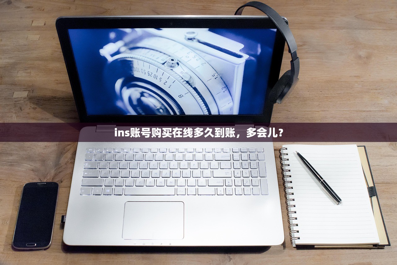 ins账号购买在线多久到账,多会儿?