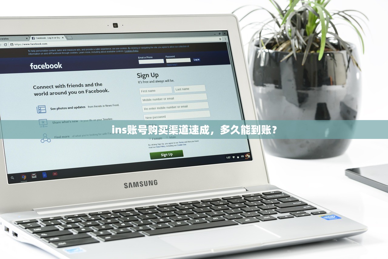 ins账号购买渠道速成，多久能到账？