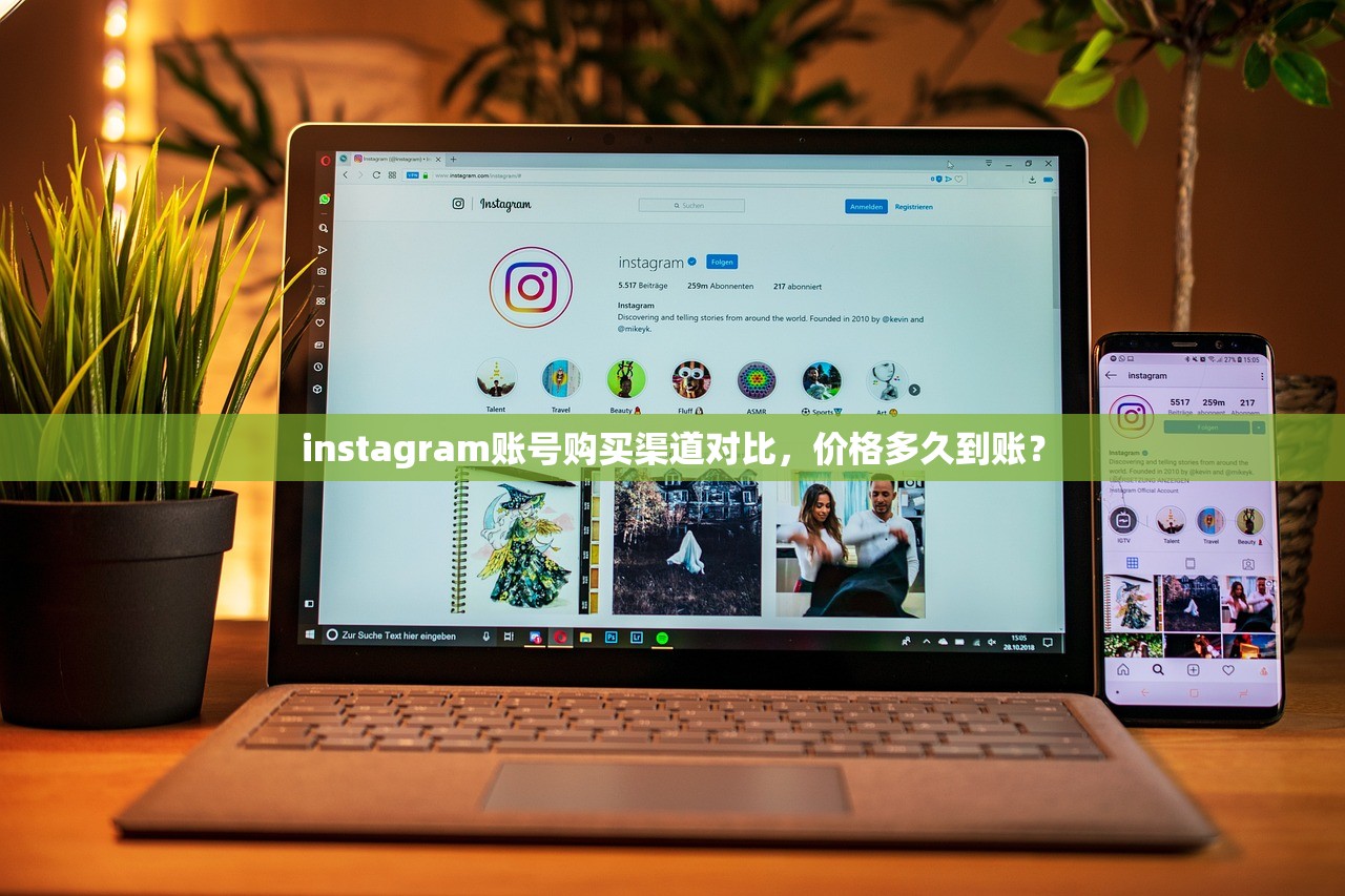 instagram账号购买渠道对比，价格多久到账？