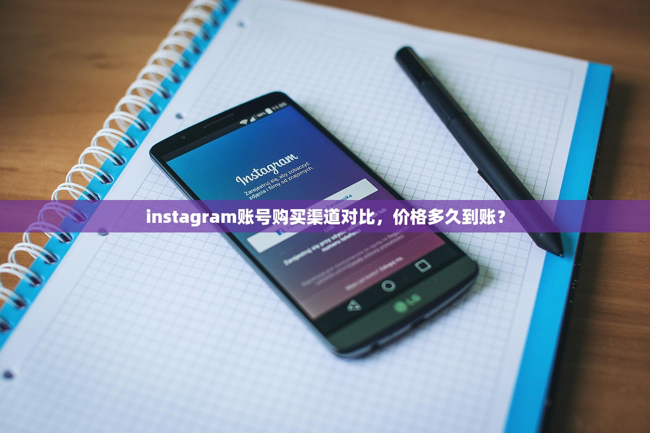 instagram账号购买渠道对比,价格多久到账?