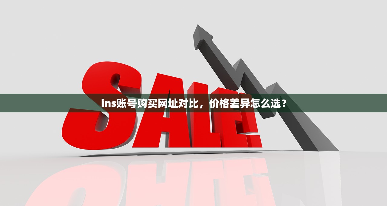 ins账号购买网址对比,价格差异怎么选?
