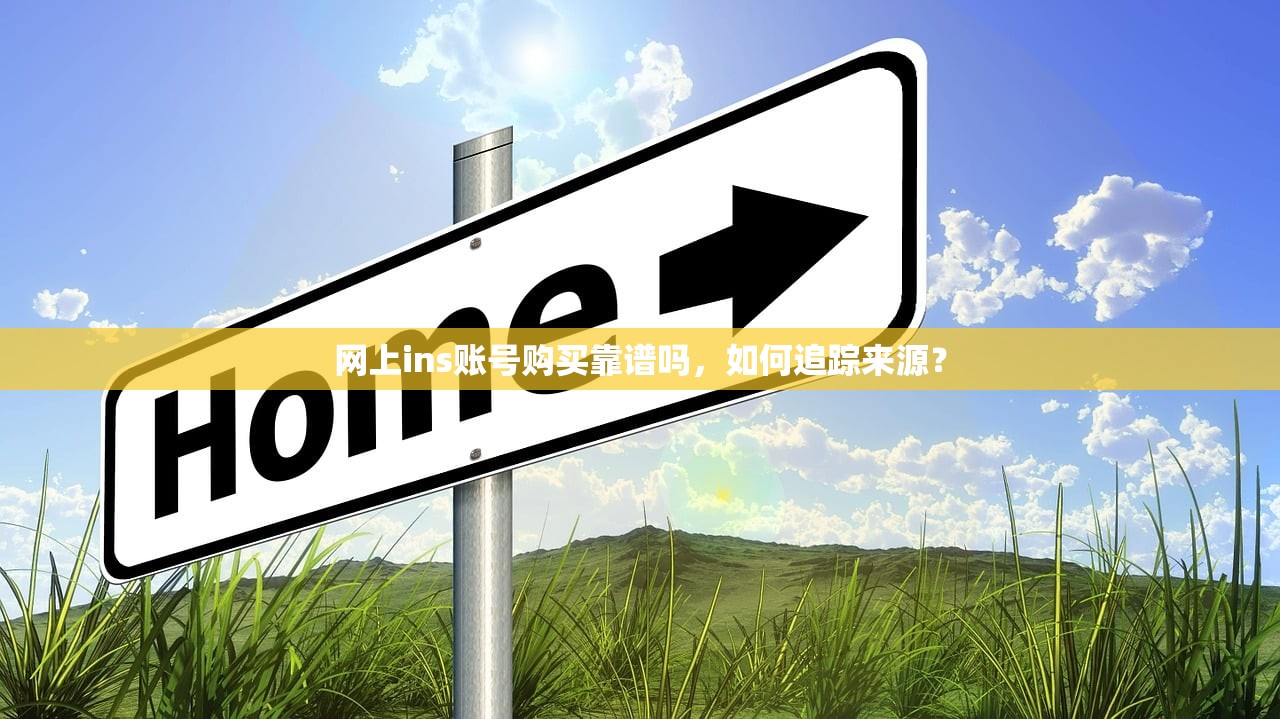 网上ins账号购买靠谱吗,如何追踪来源?