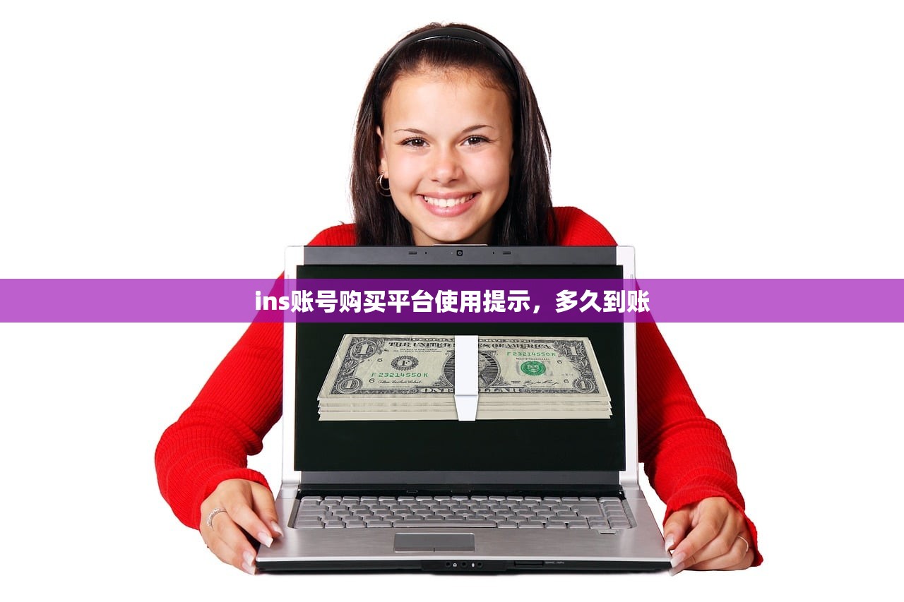ins账号购买平台使用提示,多久到账