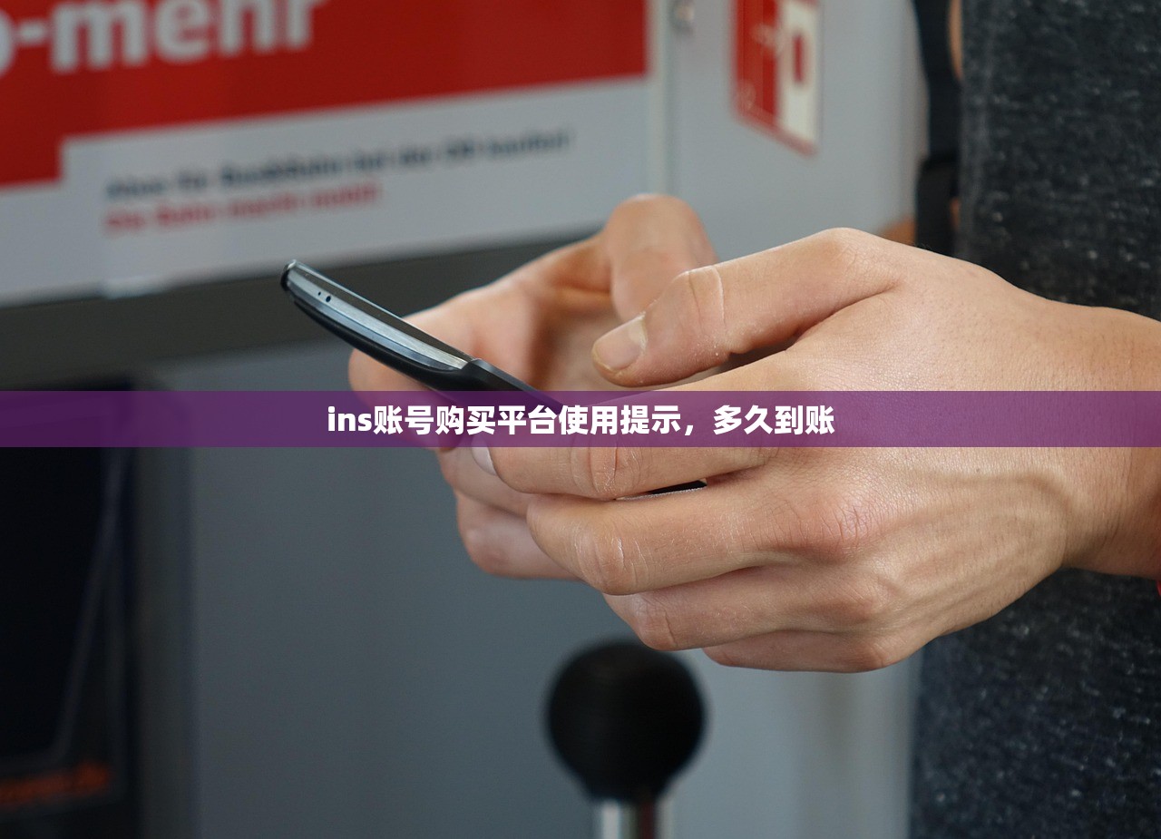 ins账号购买平台使用提示,多久到账