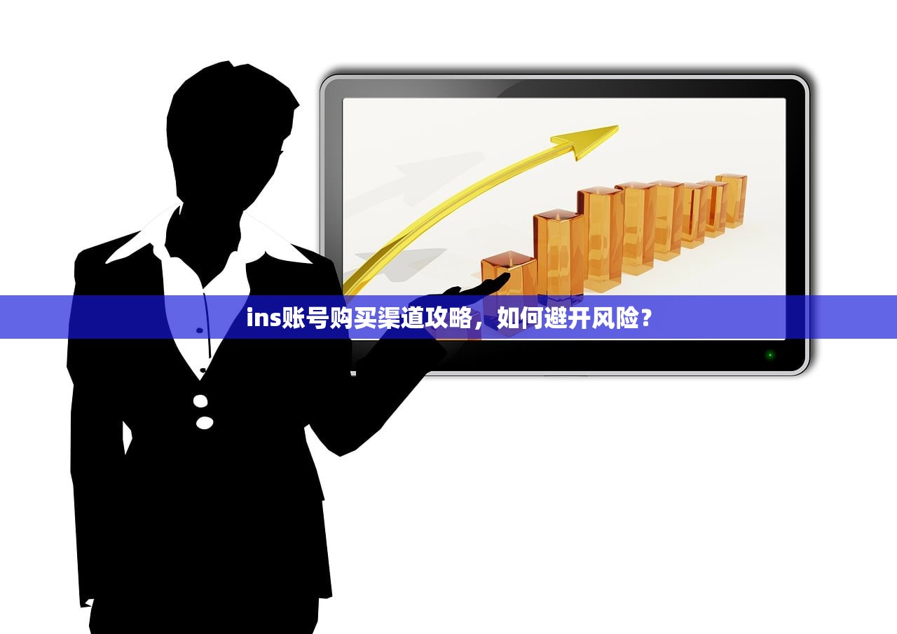 ins账号购买渠道攻略,如何避开风险?