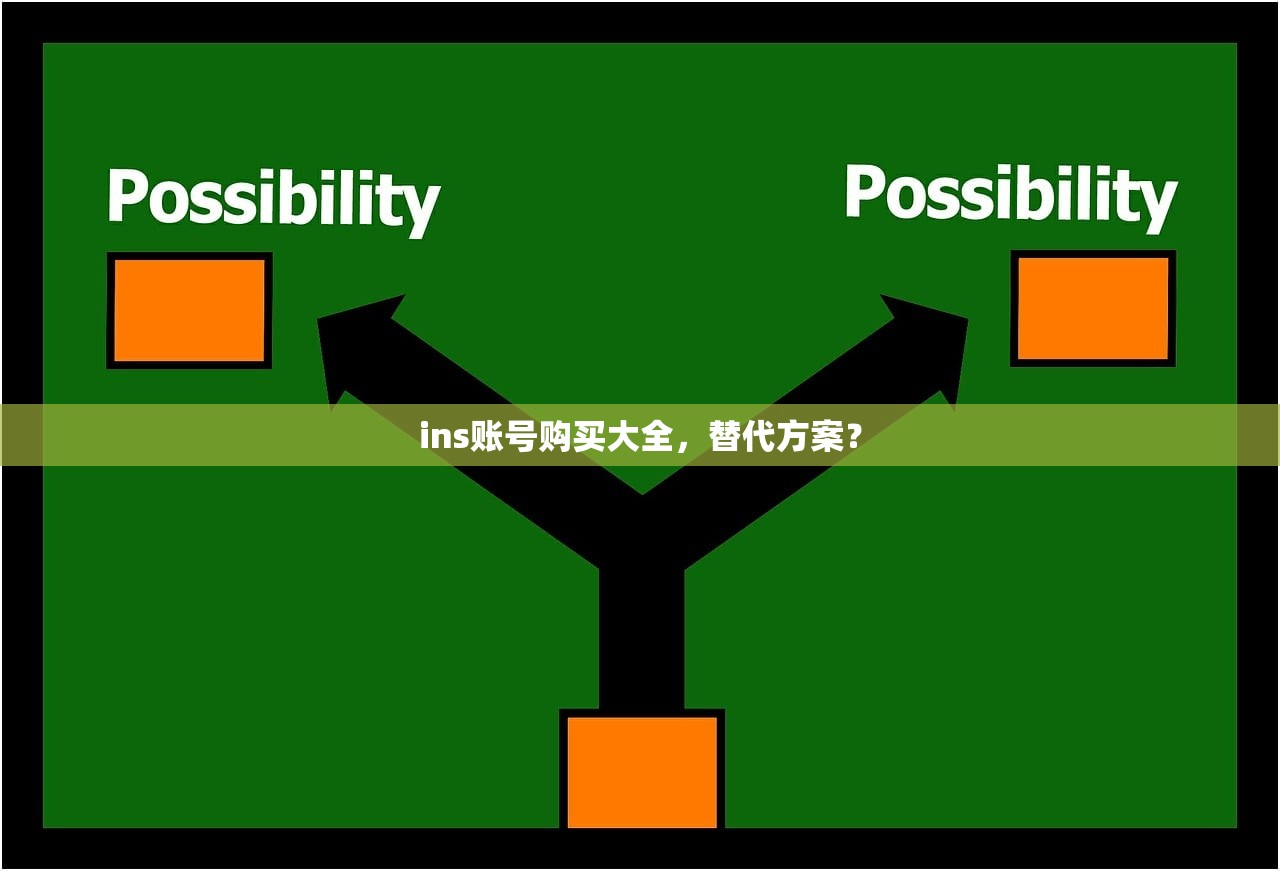 ins账号购买大全,替代方案?