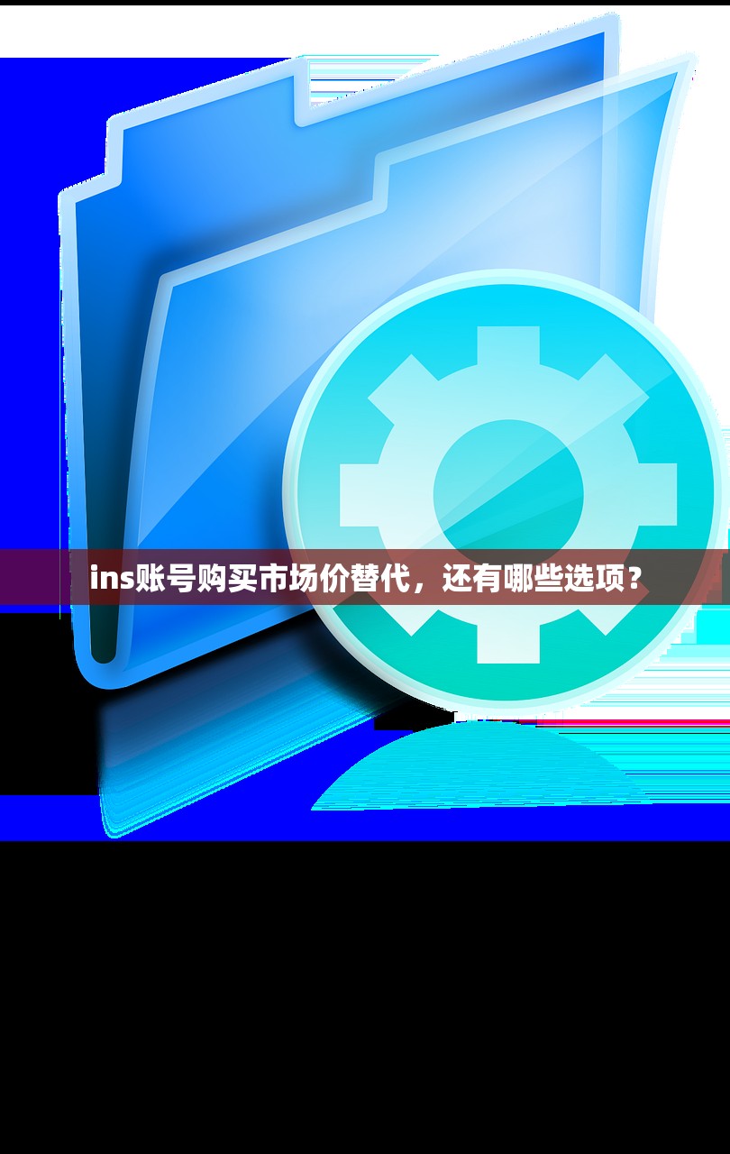 ins账号购买市场价替代,还有哪些选项?