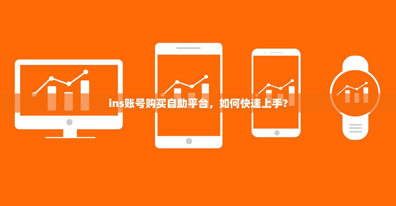 ins账号购买自助平台,如何快速上手?