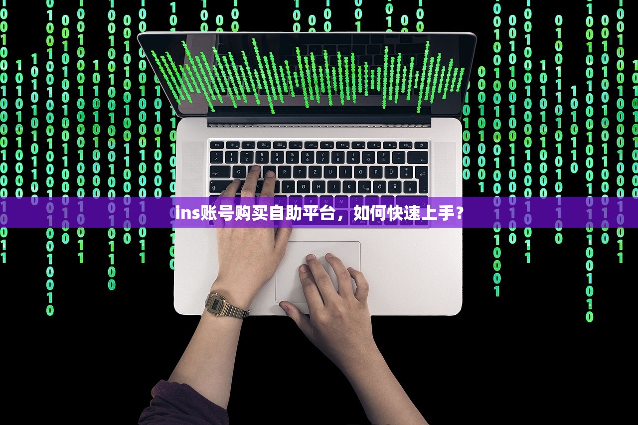 ins账号购买自助平台,如何快速上手?