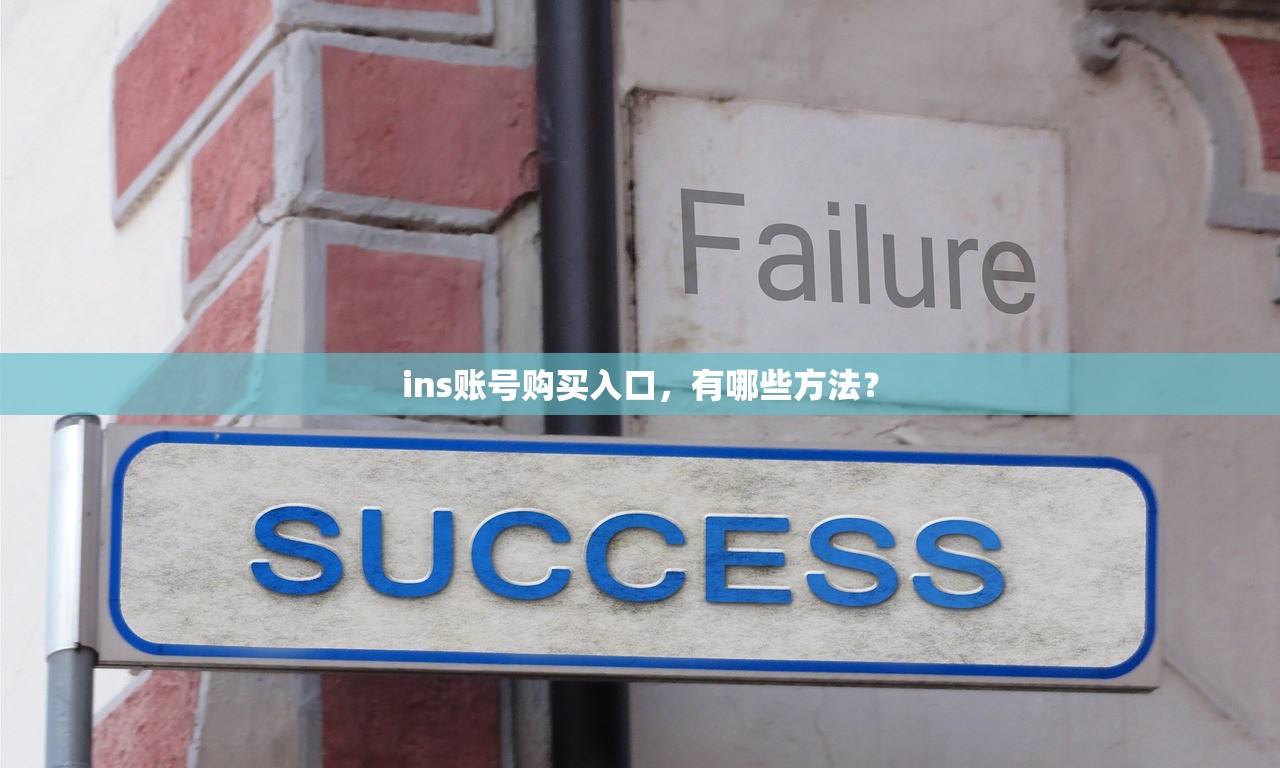 ins账号购买入口,有哪些方法?