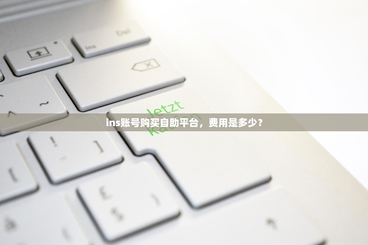 ins账号购买自助平台,费用是多少?
