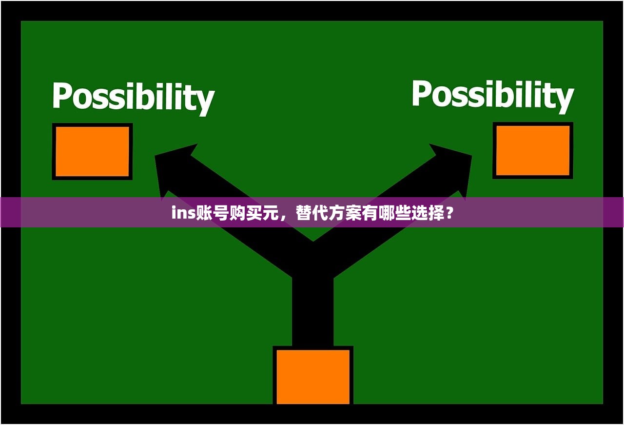 ins账号购买元,替代方案有哪些选择?