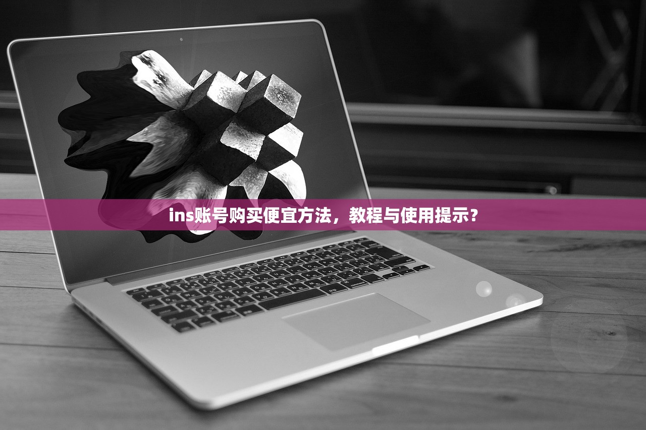 ins账号购买便宜方法,教程与使用提示?